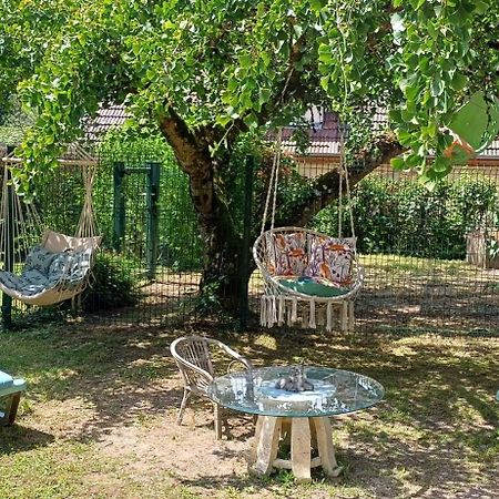 Studio Dans Belle Maison Ancienne Et Jardin Ferme L'Etoile  Εξωτερικό φωτογραφία