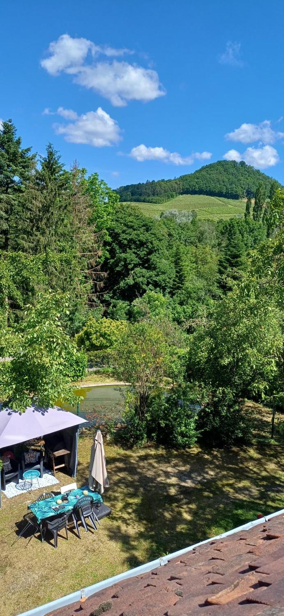 Studio Dans Belle Maison Ancienne Et Jardin Ferme L'Etoile  Εξωτερικό φωτογραφία