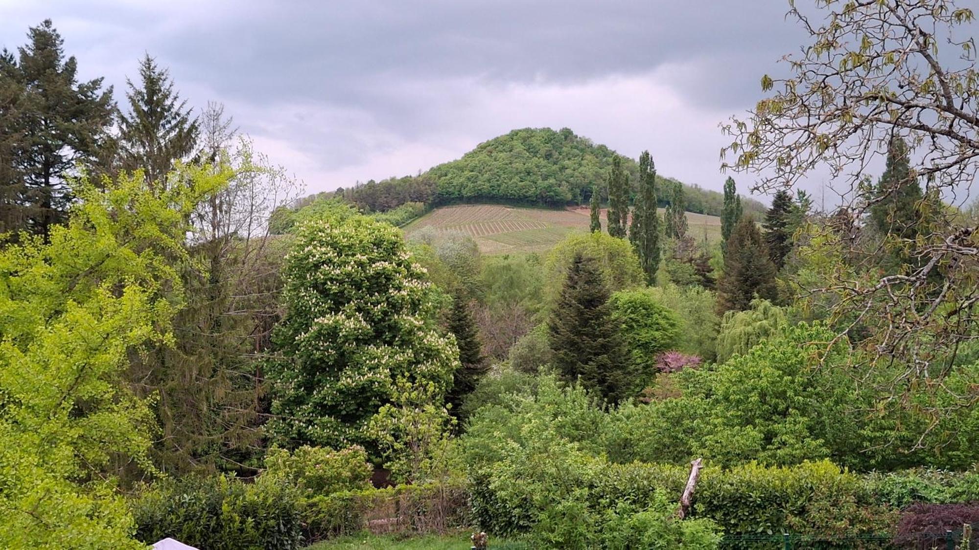 Studio Dans Belle Maison Ancienne Et Jardin Ferme L'Etoile  Εξωτερικό φωτογραφία